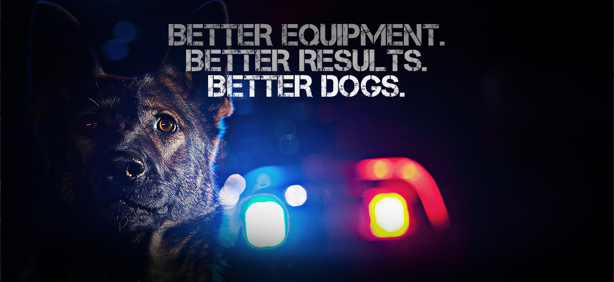 k9 equipment store