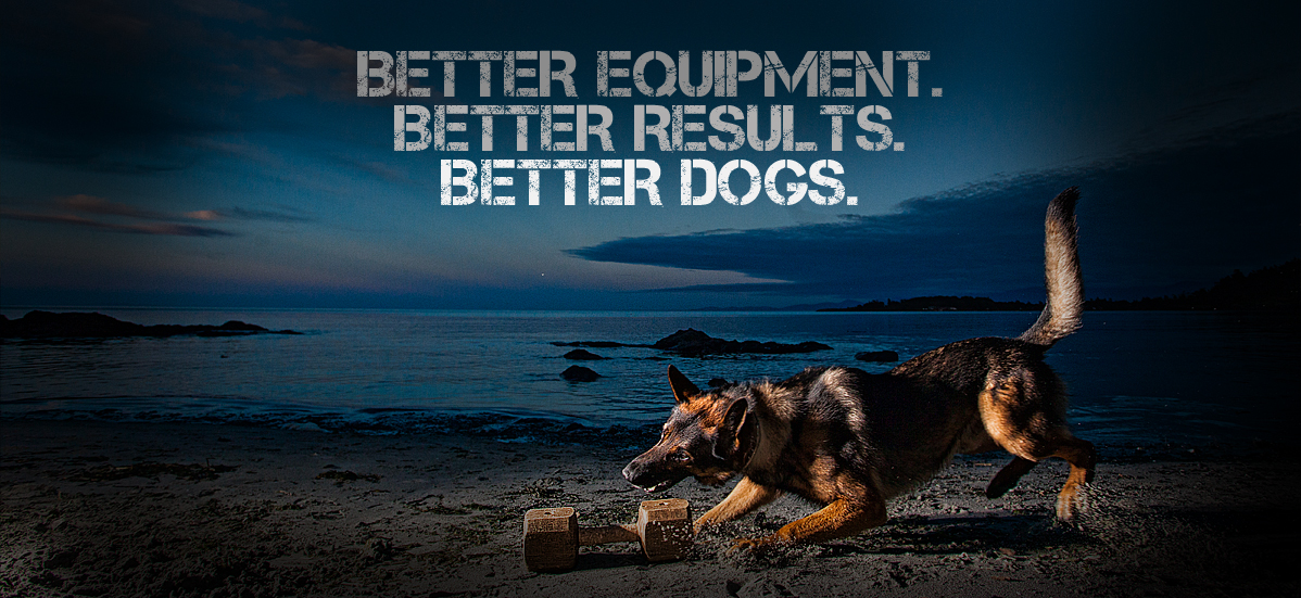 K9 Dynamics