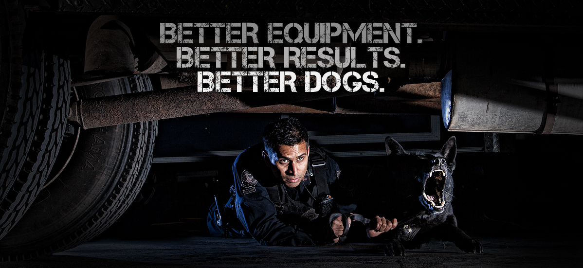 K9 Dynamics