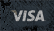 Visa Logo