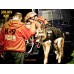 K9 Descending and Carrier Harness