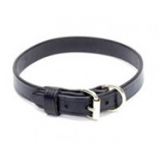 Leather Dog Collar