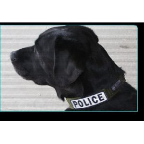 K9 Storm Nylon Collar