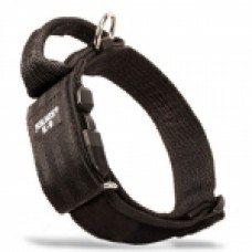 Julius K9 Collar With Secured Handle