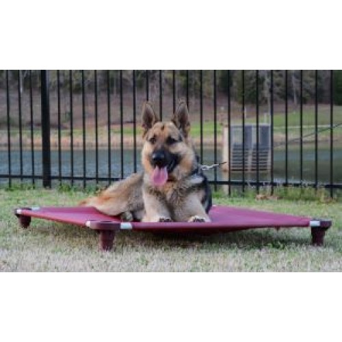 dog training place board