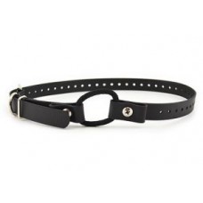 Bungee Collar Strap