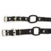 Bungee Collar Strap