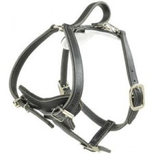 Ultra Leather Dog Harness