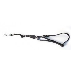 Böttcher Tracking Harness